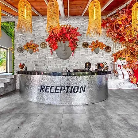 Illusion & Clubhotel - Adults Only 3* ألانيا